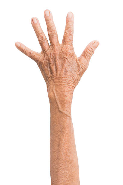 istock Elderly woman hand isolated on white background 540209192