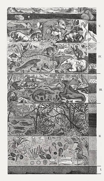ilustrações de stock, clip art, desenhos animados e ícones de escala de tempo geológica de madeira gravação, publicado em 1872 - precambrian time