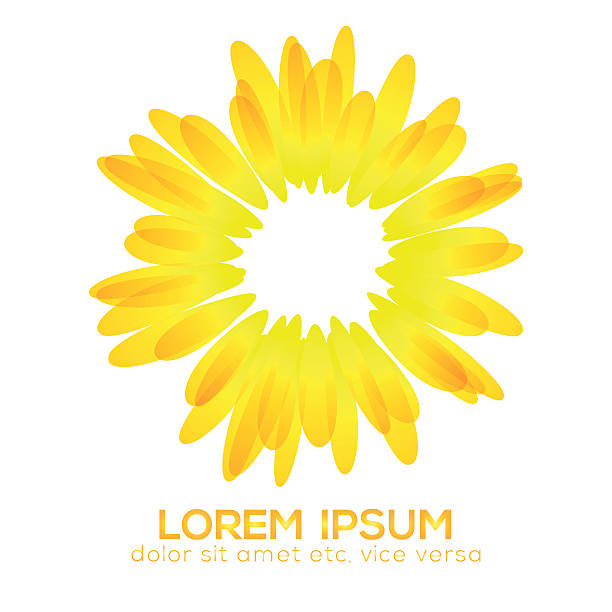 Yellow flower vector illustration - Used some transparency effect. petal illustrations stock illustrations