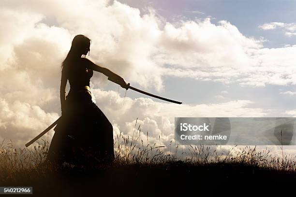 Samurai Stock Photo - Download Image Now - Samurai, Women, Warrior - Person