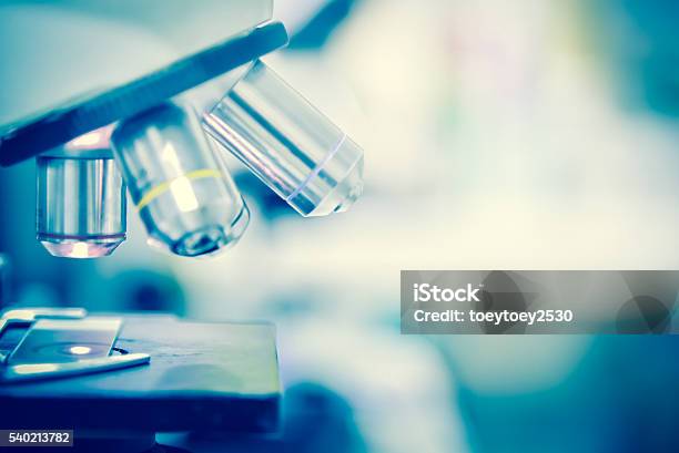 Scientist Using Microscope In A Laboratory Stock Photo - Download Image Now - Laboratory, Healthcare And Medicine, Biochemistry