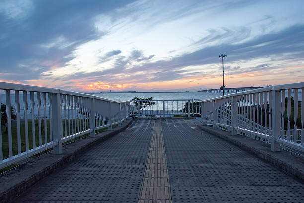 istock Beautiful pier in sunset, dramatic purple and blue cloudy sky 540214912