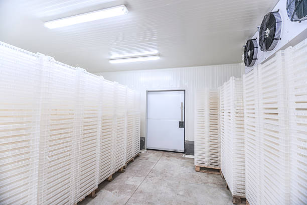 istock Inside of Big Industrial Refrigerator Storage at -30 Celcius 540215078