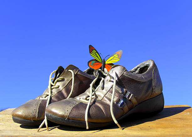 Old comfortable female shoes with butterfly on a wood background and blue sky.