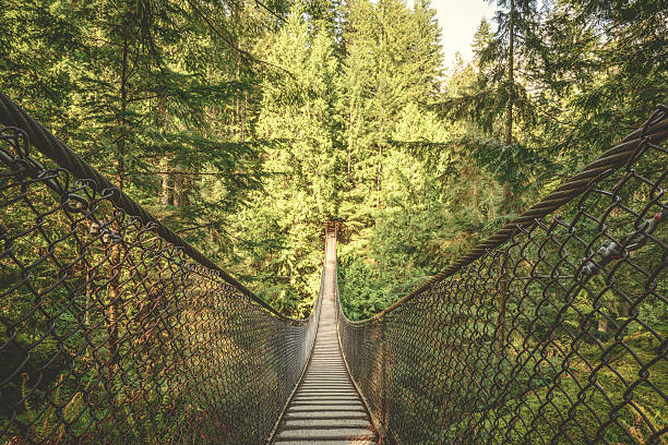 istock Lynn Canyon suspension bridge 540217740
