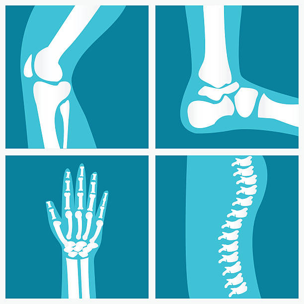 zestaw człowieka stawów. - human bone illustrations stock illustrations