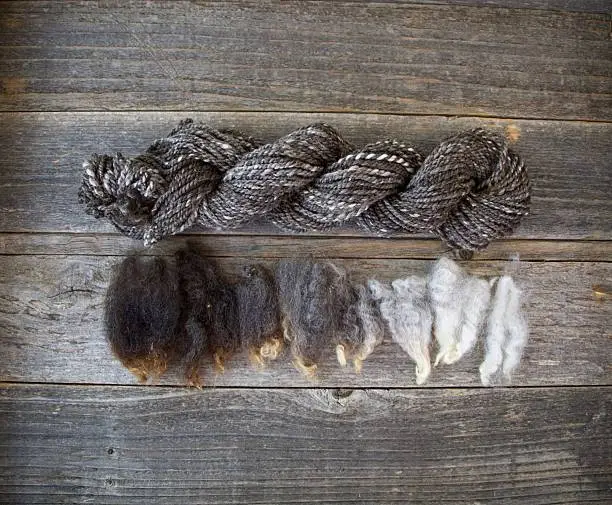 Brown, gray, and white wool locks on a wood surface with a skein of handspun yarn.