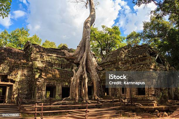 Photo libre de droit de Temple Ta Prohm Architecture Ancienne Au Cambodge banque d'images et plus d'images libres de droit de Angkor - Angkor, Antique, Antiquités