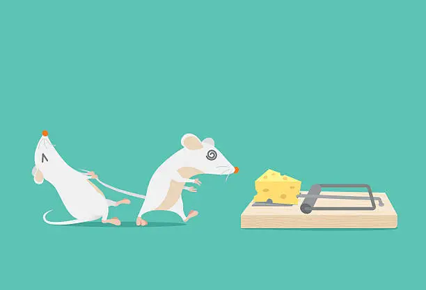 Vector illustration of Rat try to stop friend to trapped because cheese.