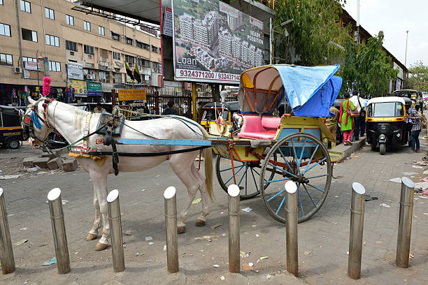 Mumbai, India - June 10, 2016: Horse Baggi outside kalyan rilway junction,  Mumbai, Maharashtra