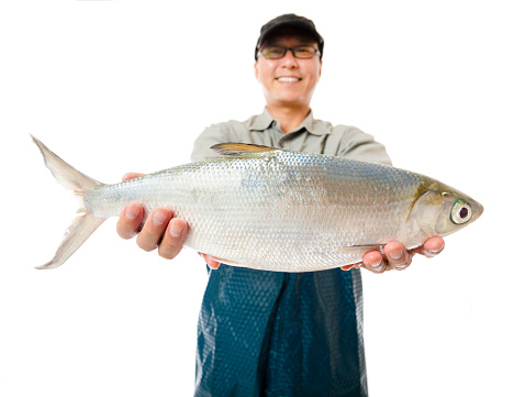 happy fisherman showing big milkfish fish isolated on white