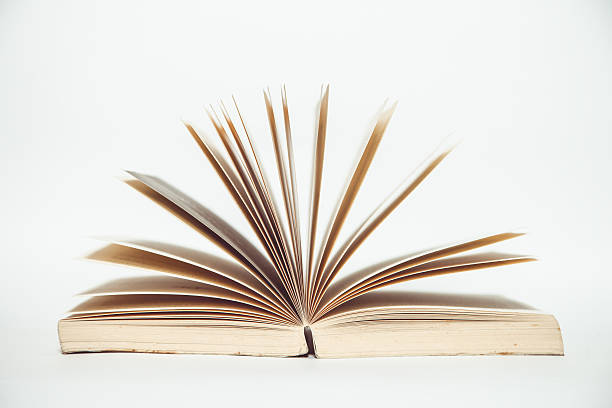 istock vintage tone of open book 540223388