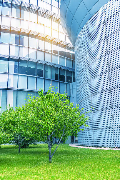 istock Modern office building with green lawn 540223538