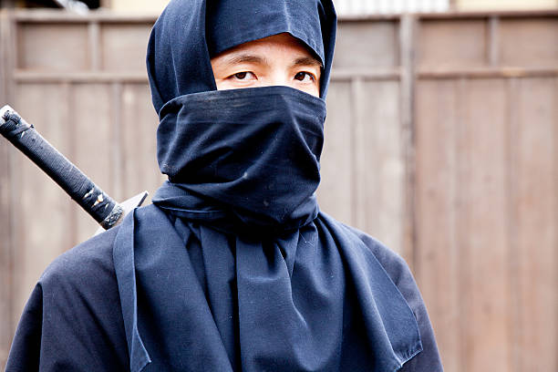 istock The Ninjya looked at me 540223796
