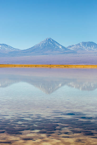 istock Atacama Desert, Northern Chile 540227286