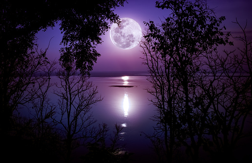Siluetas de muebles de madera fina y hermoso salida de la luna, Luna llena brillante. photo