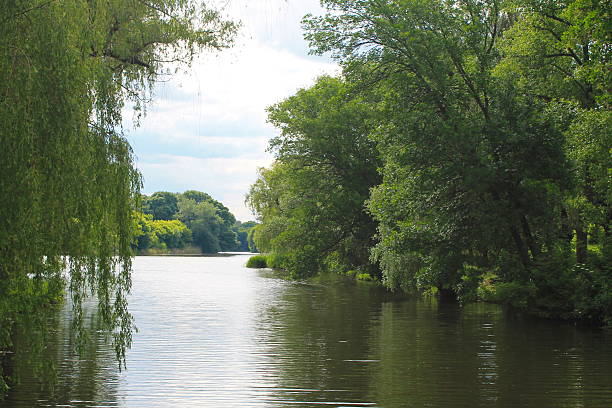 istock Beautiful lake on summer 540230016