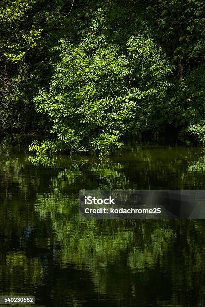 Lake Stock Photo - Download Image Now - Beauty, Cloudscape, England