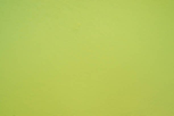 istock green color concrete background 540231118