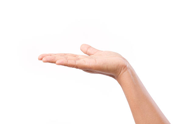 istock woman hand or palm showing up something 540233442