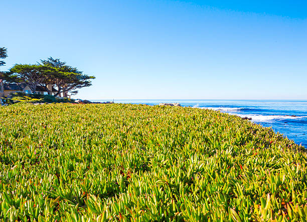 istock Beach. Pacific Northwest north of Seattle. 540239192