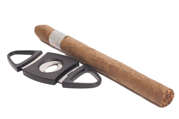 istock Cuban cigar and a cutter isolated on white background 540240006