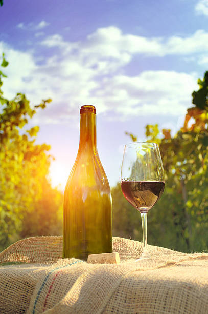 istock Glass of wine with bottle. 540240162