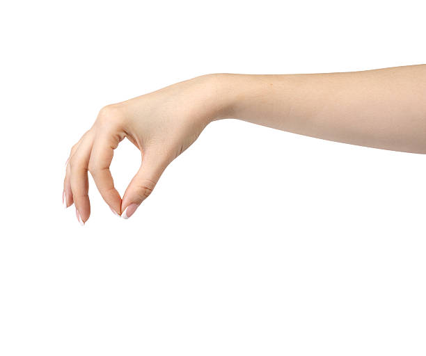 istock Beautiful woman hand holding 540241272