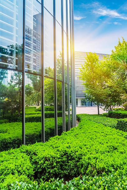 istock Modern office building with green bushes 540363874