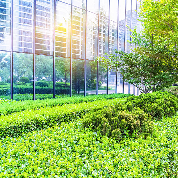 istock Modern office building with green bushes 540364094