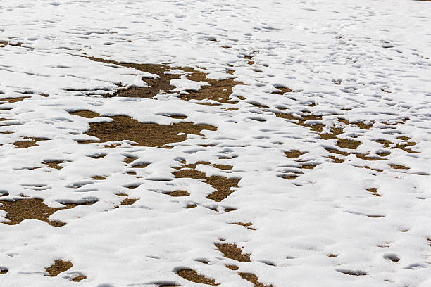 istock close up snow texture thawing snow. 540365170