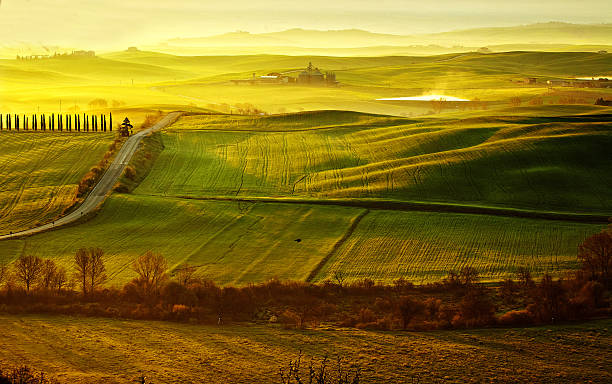 istock morning on countryside in Tuscany 540366056