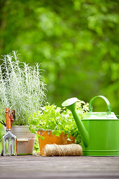 istock Gardening tools  on the terrace in the garden 540369584