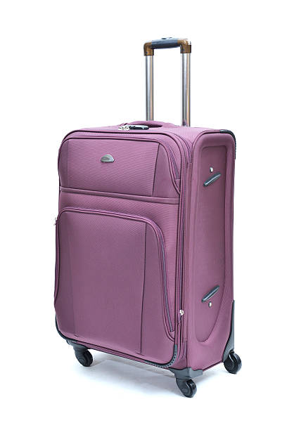 istock Travel luggage 540373412