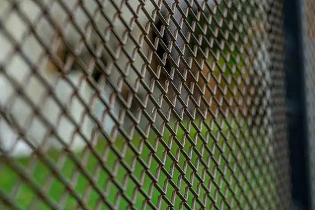 Photo of Steel mesh background (Selective focus)