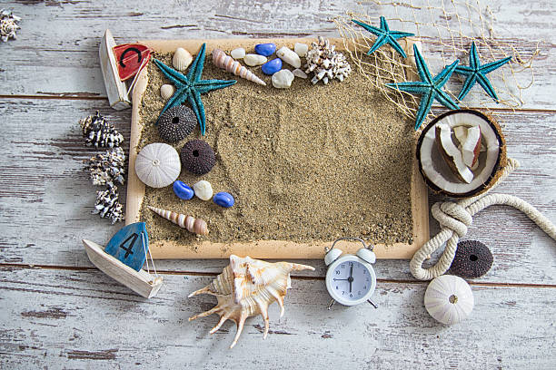 istock beach Marine background with pebbles shell and starfish on wooden 540375400