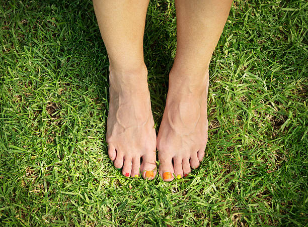 istock female feet on green grass 540377276