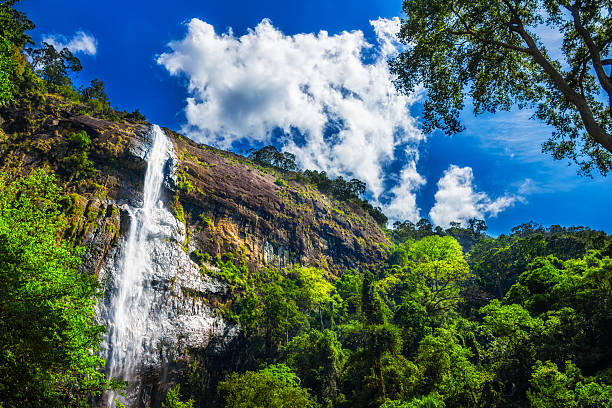 beleza natural cascata sri lanka, diyaluma - awe beauty in nature waterfall cool imagens e fotografias de stock