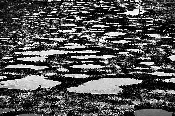 Small puddles of water on a road background