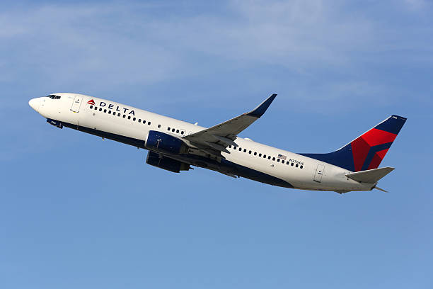 델타항공 보잉 737-800 항공기로 - delta air lines 뉴스 사진 이미지