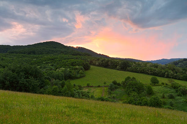 istock Poltar region, Slovakia. 540384914