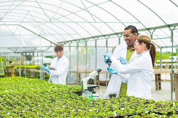 istock Cheerful team of scientists researching plants together 540386150