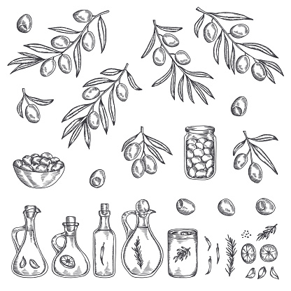 Hand drawn olive graphic set. Collection of olive branches, oil bottles, jars and other design elements. Vector ink drawn illustration.