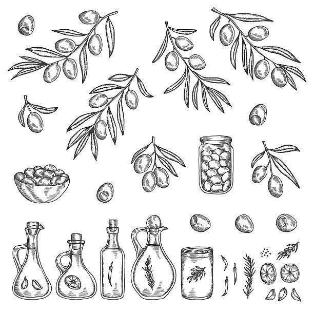Hand drawn olive graphic set. Vector illustration. Hand drawn olive graphic set. Collection of olive branches, oil bottles, jars and other design elements. Vector ink drawn illustration. doodle stock illustrations