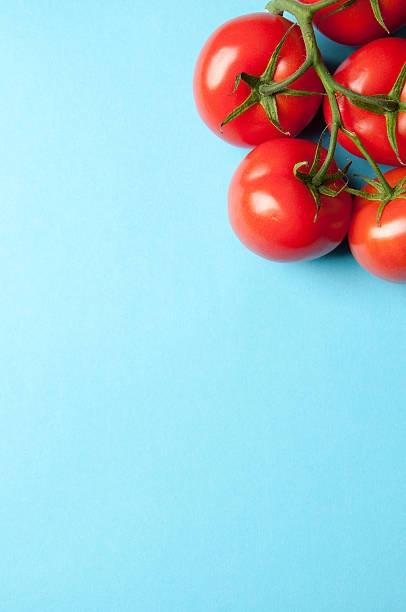 istock Fresh radishes with leaves on a blue background from above 540388968