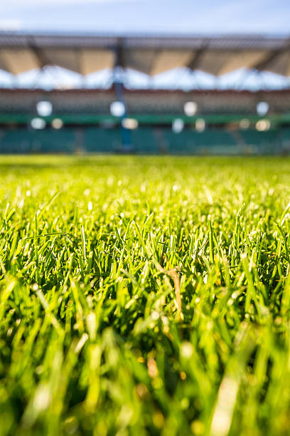 istock Green grass at modern stadium during sunny day 540389262