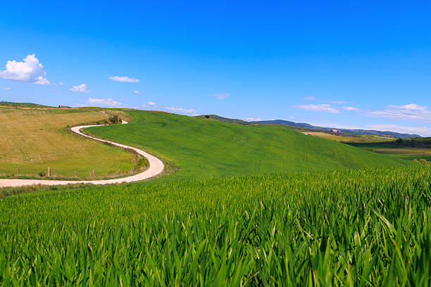 istock Typical Tuscany landscape springtime at sunrise 540389268