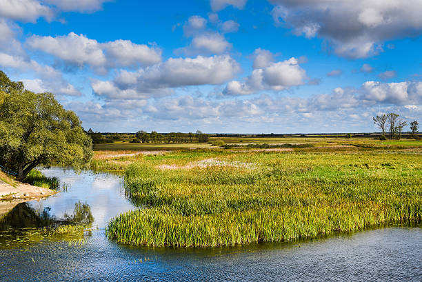 istock River Biebrza, Podlasie-Poland 540389584