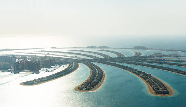 istock Palm jumeirah in Dubai from the helicopter 540389684