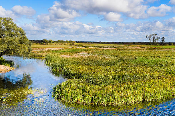 istock River Biebrza, Podlasie-Poland 540390692